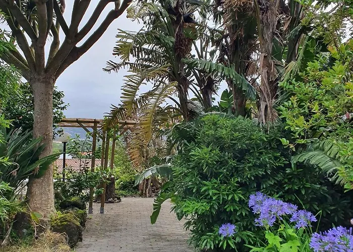 Casa Baleia A Vista