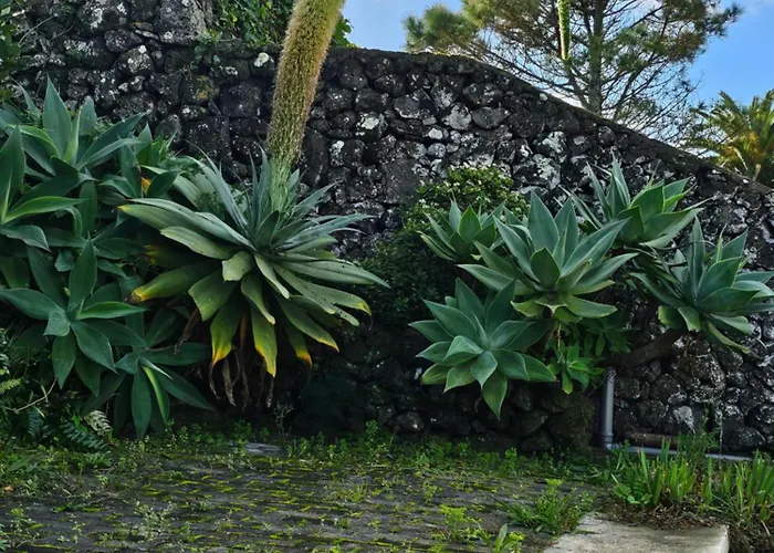 Casa Baleia A Vista