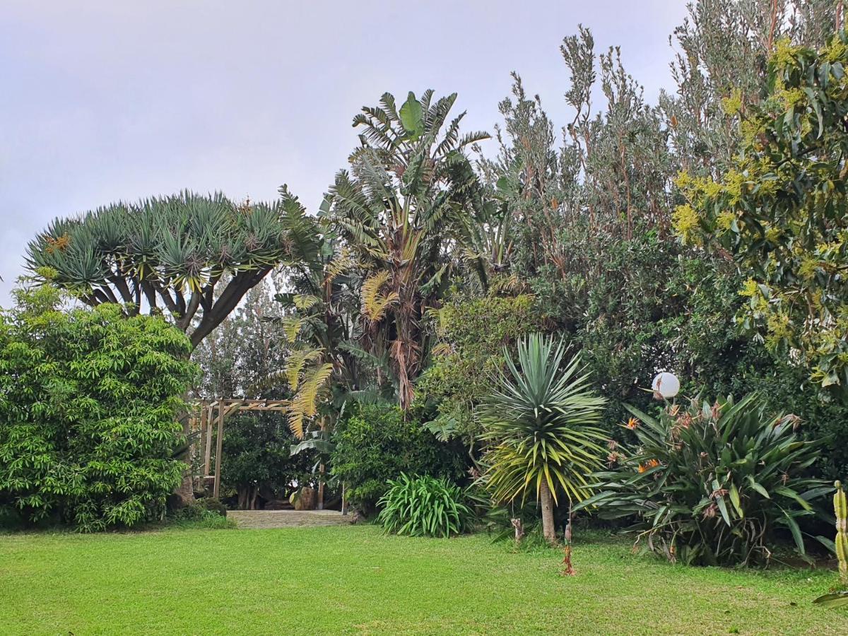 Holiday home Casa Baleia A Vista